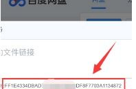 网红张诗琳磁力链接,磁力链接背后的热门话题与影响力